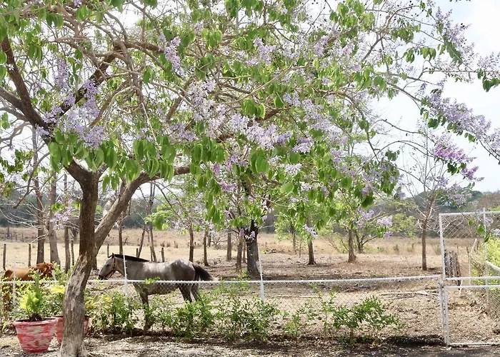 Guest house Sobrado Ranch Nicoya