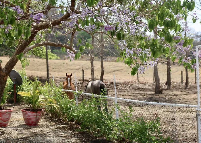 Sobrado Ranch Guest house